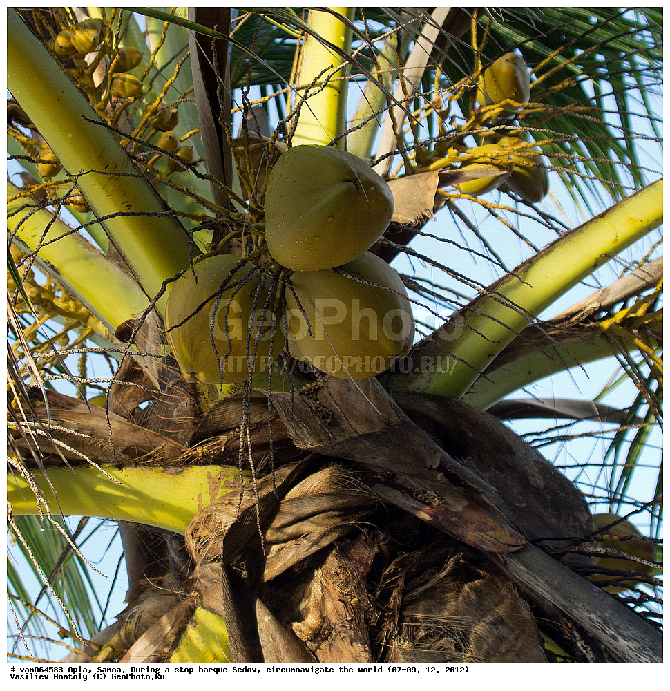 �������, ����� �����, ���������, ����, ������� � ������, ���������, �����, ���� �����, ������������ ��������