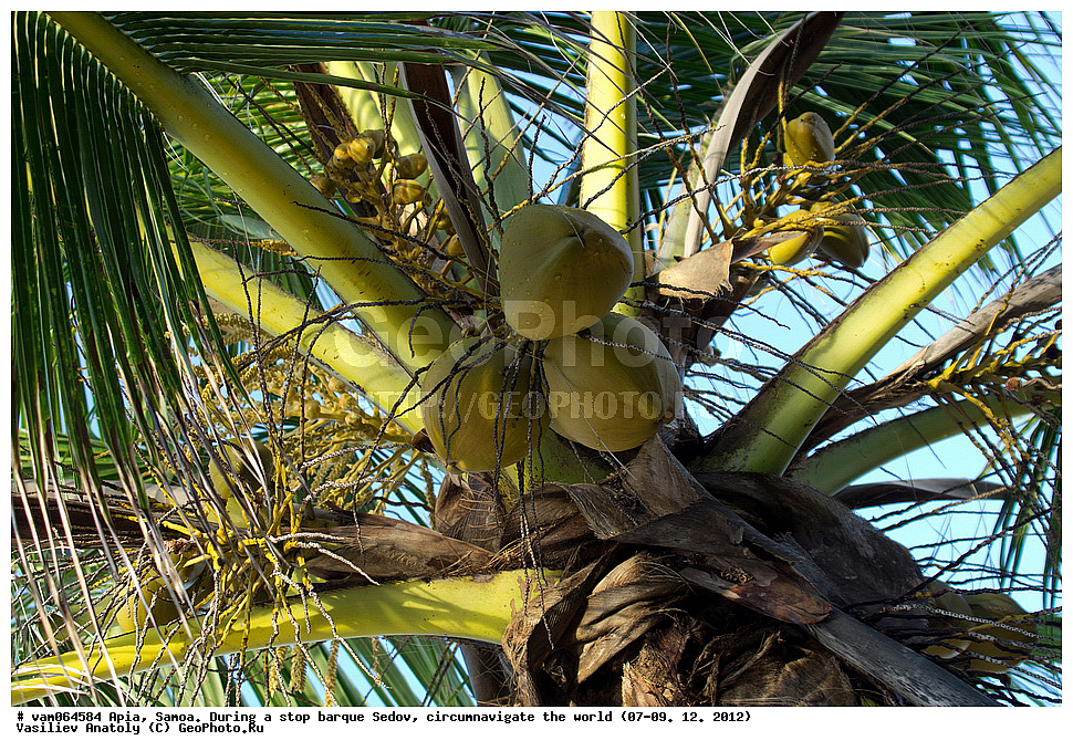 �������, ����� �����, ���������, ����, ������� � ������, ���������, �����, ���� �����, ������������ ��������