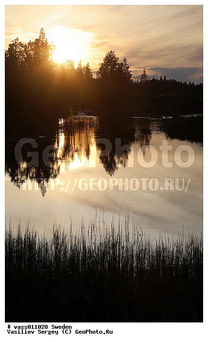 ������, ������