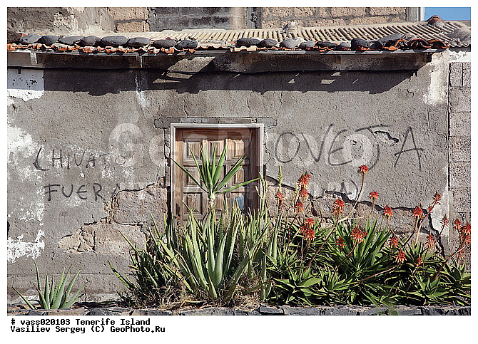 ���������, �������, ���������, ������, ��� �������, ������, ������ ��������, ������