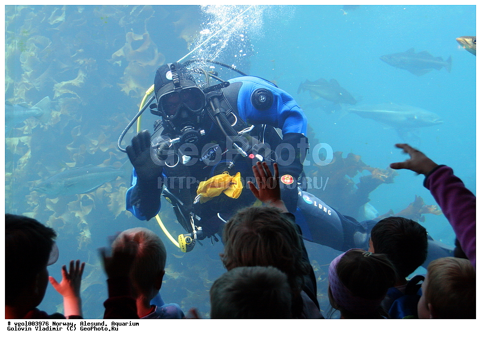 ��������,   ������� 