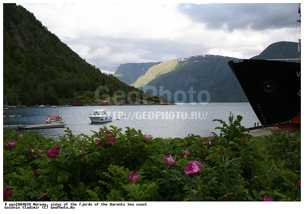 ��������,  �����