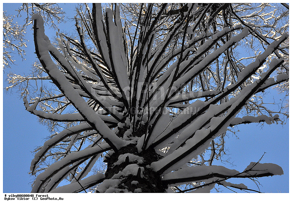 ���, �������, �����, ����, ����