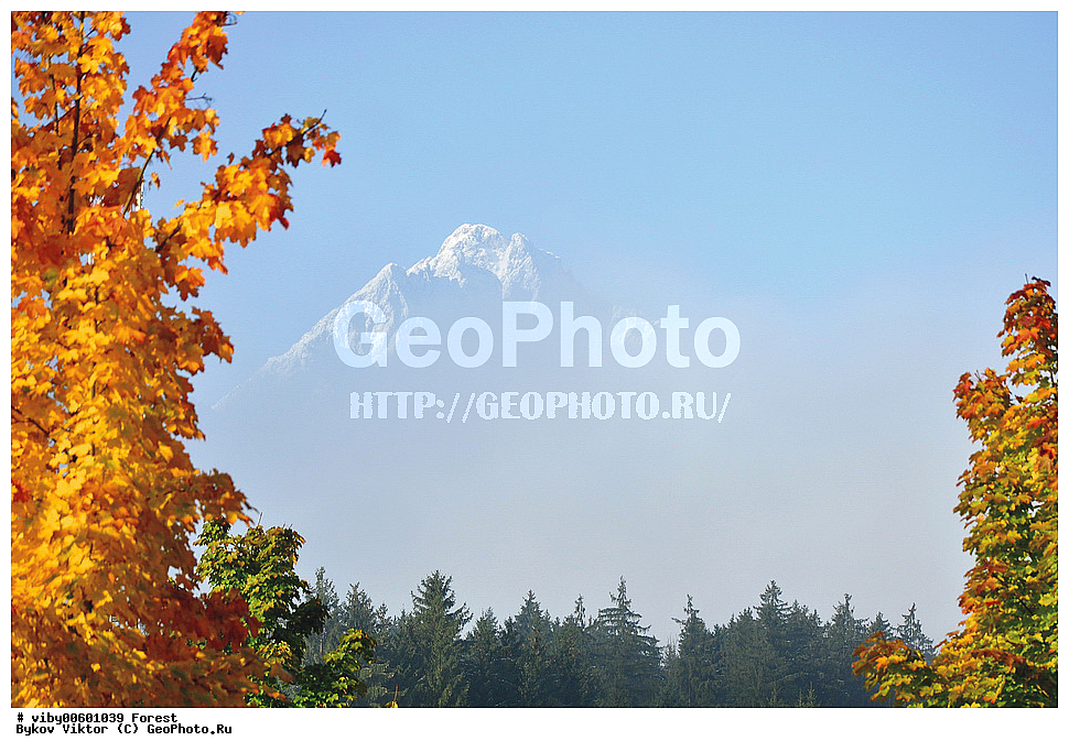 ���, �������, ����, ������� �����, ������� ����