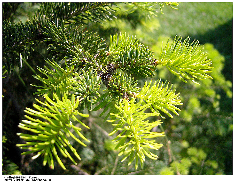 ���, �������, ���, ������, �����, ������