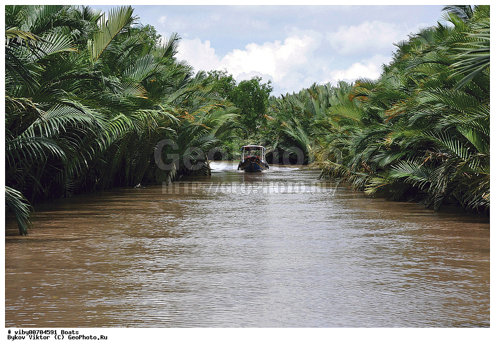 ����, �����, ����, �����, ������