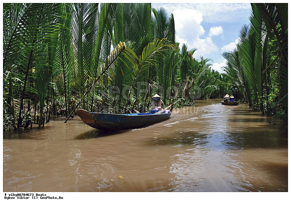 ����, ����, ����, �����, �����, ������