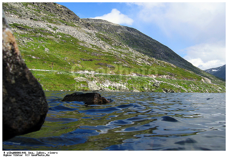 �����, ������ �����, �����, ��������