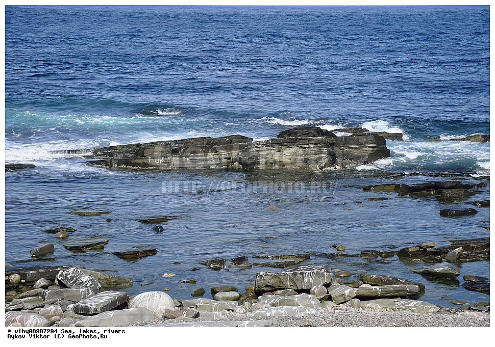 ����, ������, �������, ��������� ����