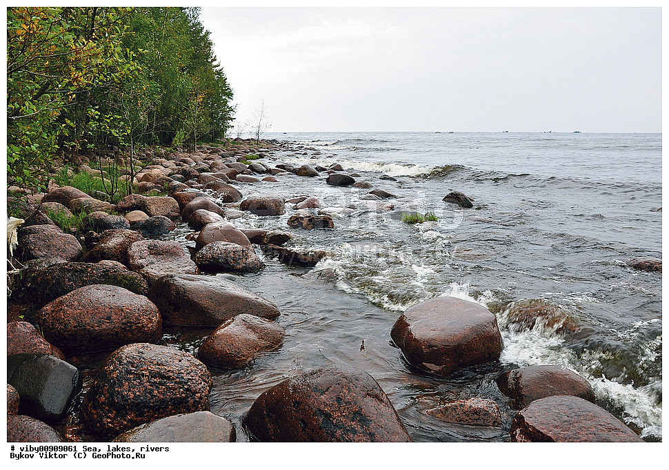 �����, ������, ��������� �����