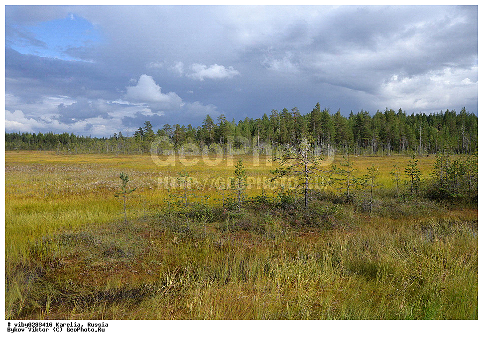 ���������� �������, �������, �������, ������, ������������� �������, ���� ׸�����