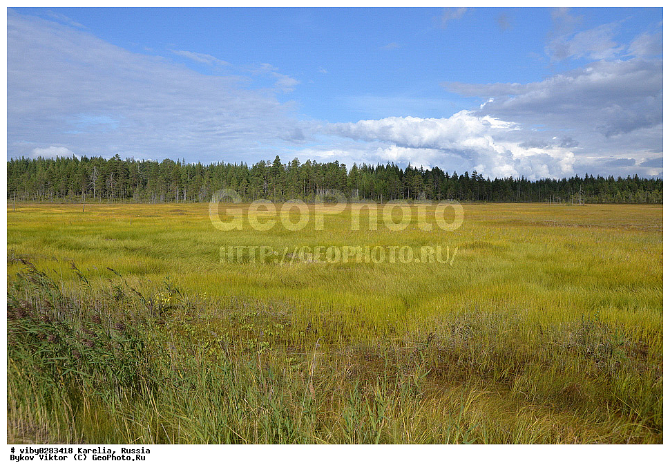 ���������� �������, �������, �������, ������, ������������� �������, ���� ׸�����