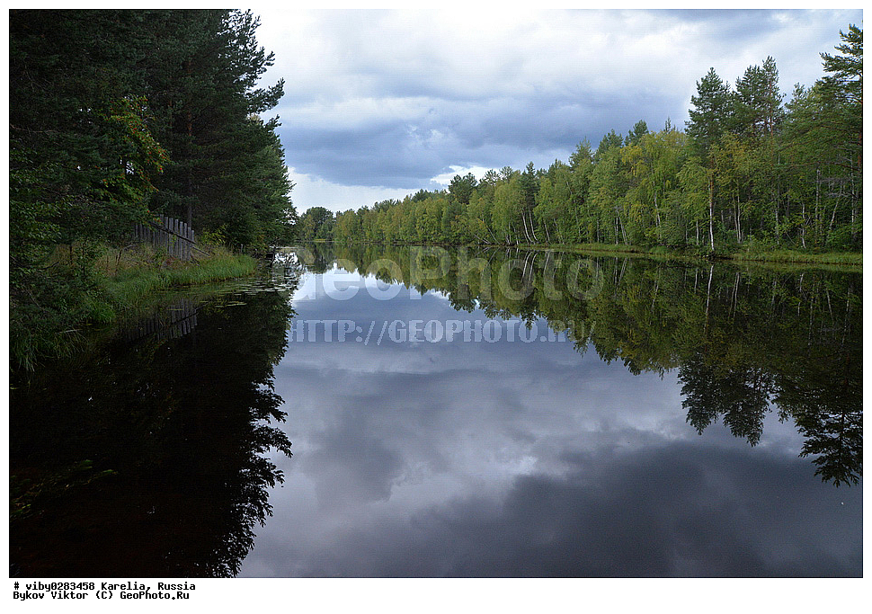 ���������� �������, �������, �������, ������, ������������� �������, ���� ׸�����