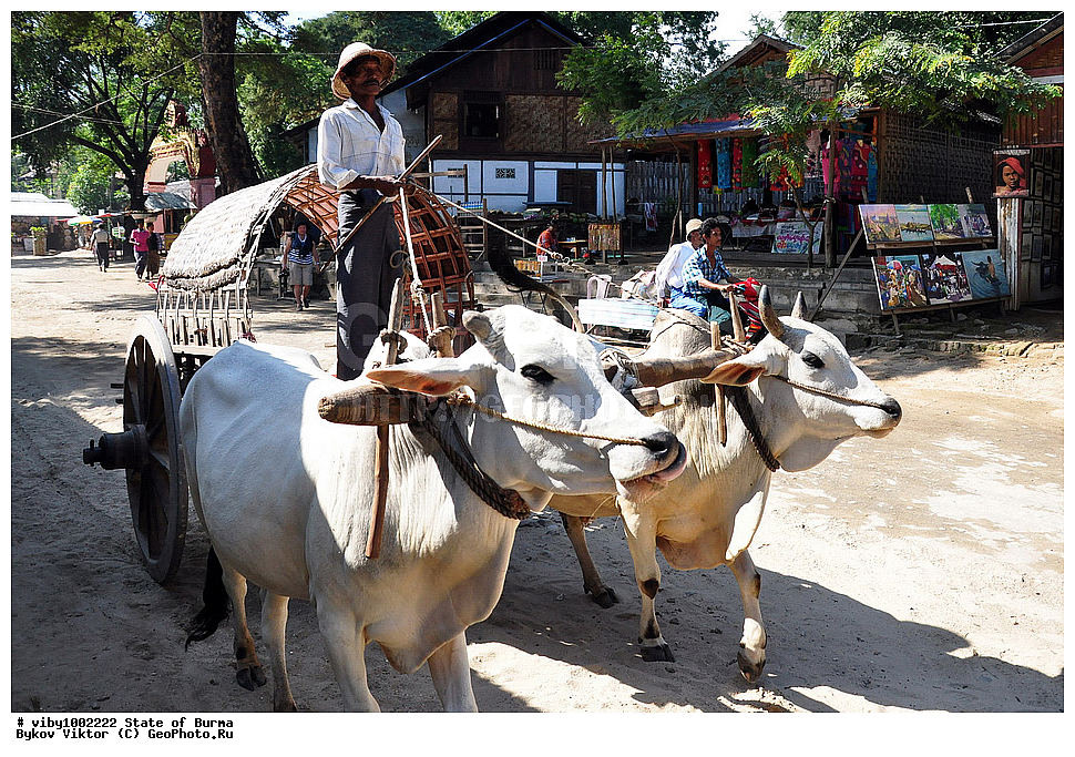 ������, �����, ����� ����, �����, �������, ������� ���������, ������