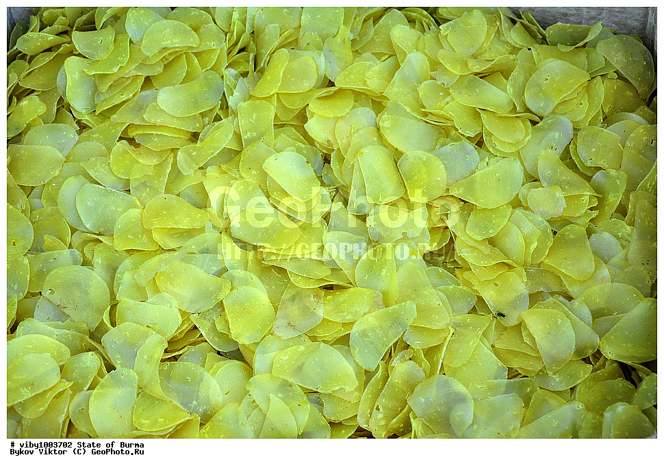 ������, �����, ��������, ��������� ���������