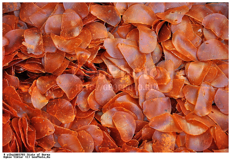 ������, �����, ��������, ��������� ���������