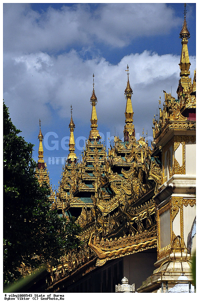 �����������, ������, �������, �������, ������������� ���������, ������, �����, ������ ��������, �����