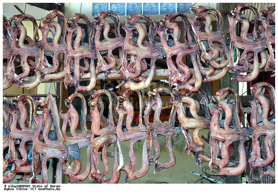 ������, �����, ����, ������� ����