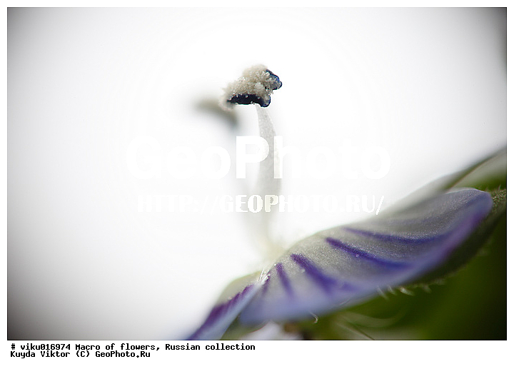 ���, ����������, �����, ������, ����������, ������