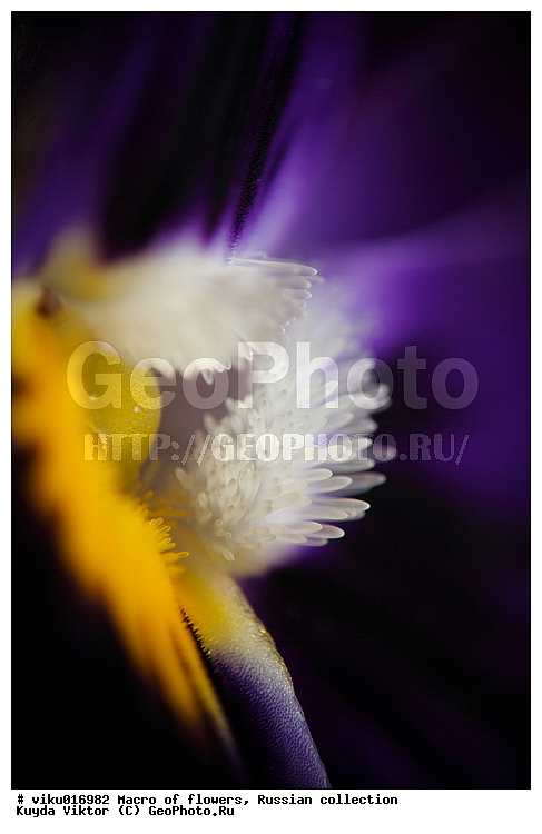 ��������, �����, �����, ������, ��������, ����, ������