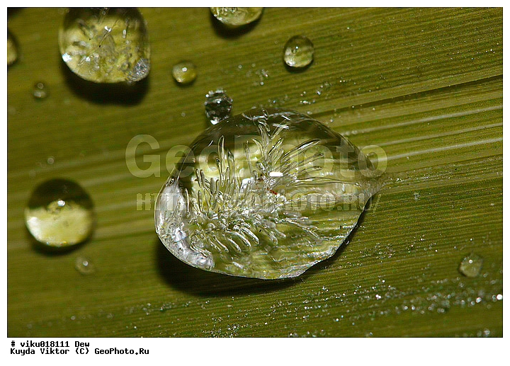 ������, �����, �����, ���, �������, ����