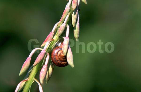 ���������� �������, ������, ������ �� ������, ���������� �������, ����-���, �������, ������, �����