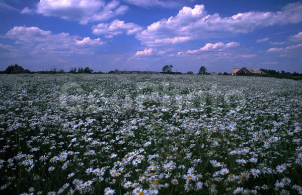 ���������� �������, ������, ���������� �������, �����, ����, ������, ���� � ���������, �������, ������������� ������, �����