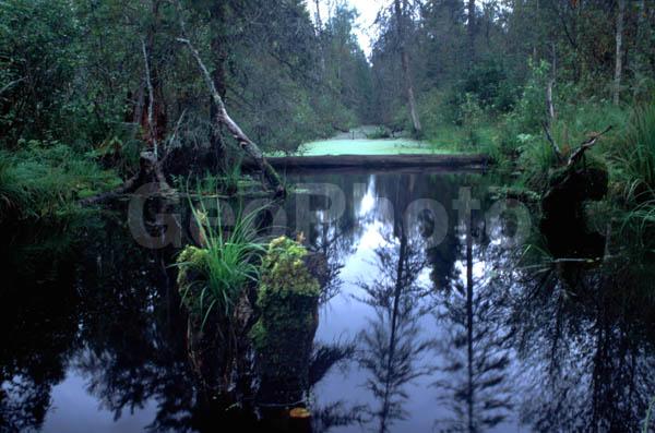 ���������� �������, ������, ���������� �������, ������, ����, ���, ������, ������ ������, ���������, ����, �����, ������������� ������