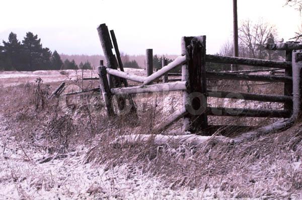 �������� �������, ���������� ������, �������, �����, ����������, �����������, ��������, ������, ������� �����, �������, ���������, ����