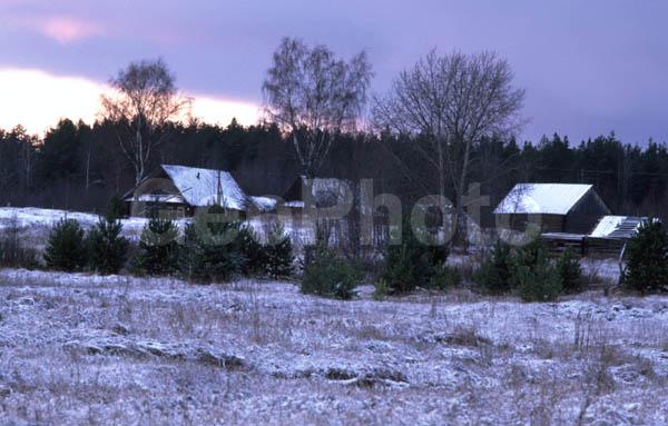 �������� �������, ���������� ������, ������, �������, ���, �����������, ����, ���, ������, ������� �����, ����, ����, �����