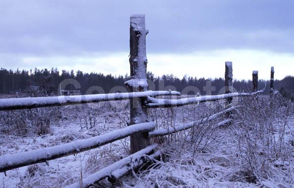 �������� �������, ���������� ������, �������, �����, ����������, �����������, ��������, ������, ������� �����, ����, �������, ���������, ����