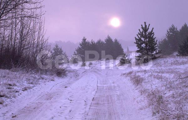 �������� �������, ���������� ������, �������, ������, �����������, ������, ������, �����, �����, ����, �����, ���������, ����, ������� �����, ������, �����