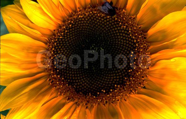 ���������� �������, ������, ���������� �������, ��������, ���������, ��������, ���������, �����, ����������, ������, ��������������, �������������, ��������������