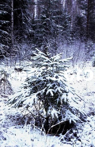 ���������� �������, ������, ���������� �������, ������, ���, �����������, ����, ���, ������ �����, ������������� ������