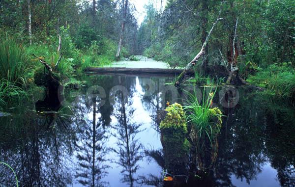 ���������� �������, ������, ���������� �������, ������, ����, ���, ������, ������ ������, ���������, ����, �����, ������������� ������