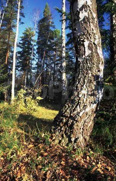 ���������� �������, ������, ���������� �������, ������, �����, ������, ������, ���, ���������