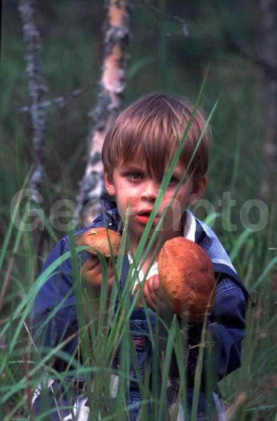 ���������� �������, ������, ���������� �������, ����, ������, ��������� �������, �������, �������