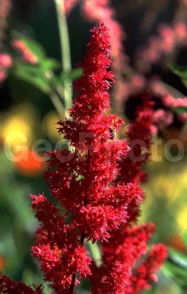 ���������� �������, ������, ���������� �������, ����, ��������, ���, ��������� ����, ������, �����