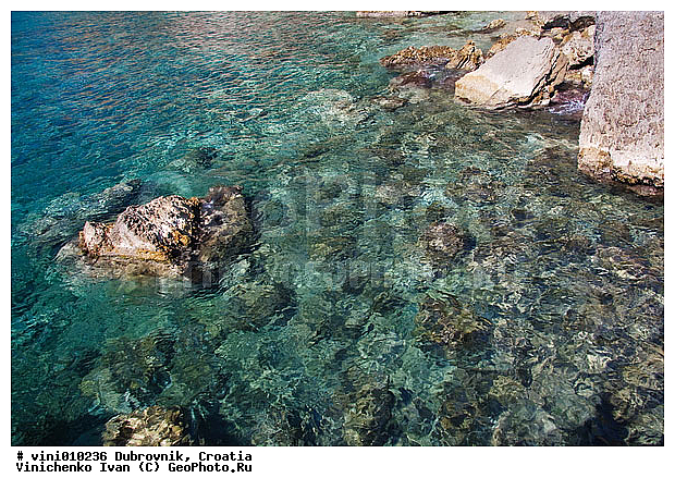 �����, ������, ����������, ����, �����, ����, �����