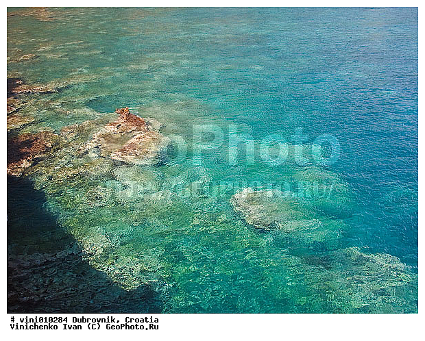 �����, ������, ����������, ����, �����, ����, �����