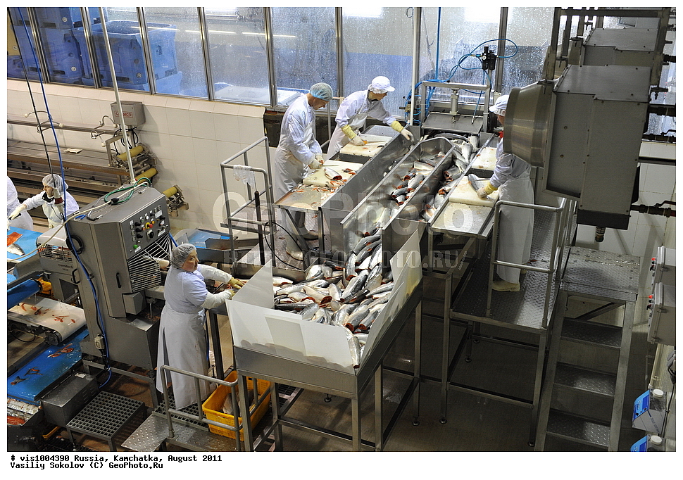 ��������������������, �����, �������� ���������, ��������, ������, ������, 2011