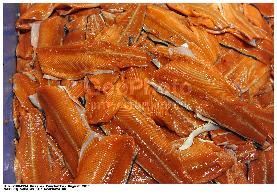 ��������������������, �����, �������� ���������, ��������, ������, ������, 2011