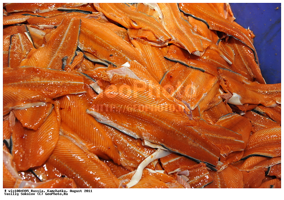 ��������������������, �����, �������� ���������, ��������, ������, ������, 2011