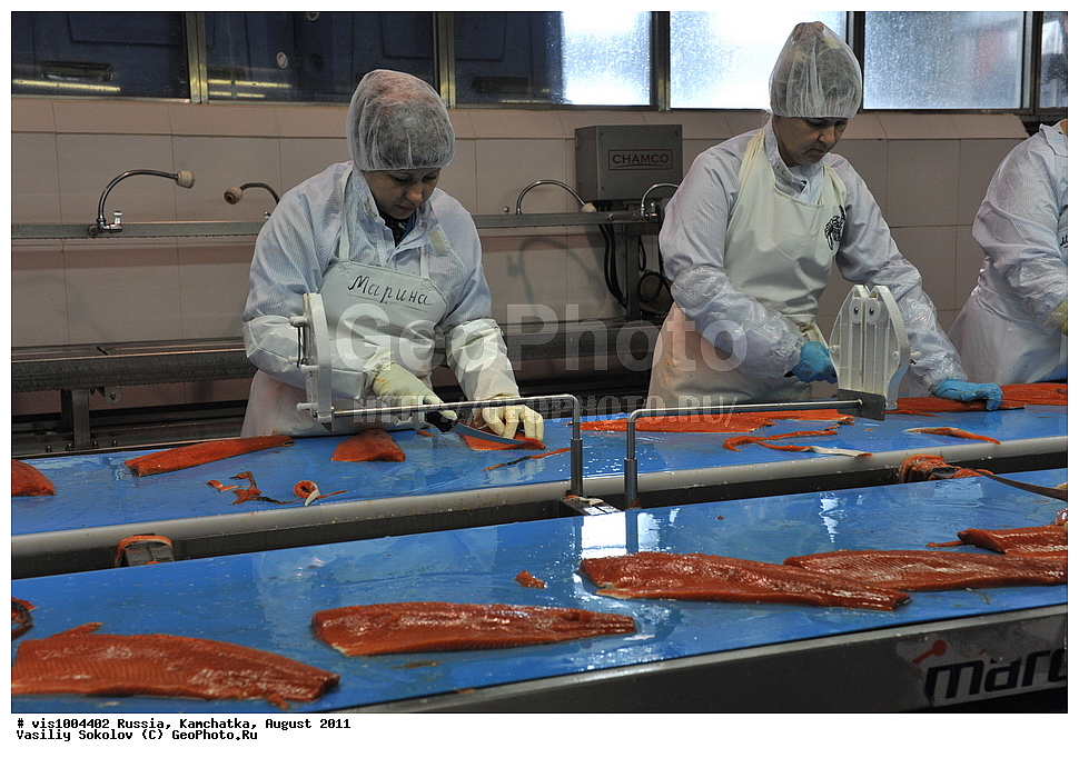 ��������������������, �����, �������� ���������, ��������, ������, ������, 2011