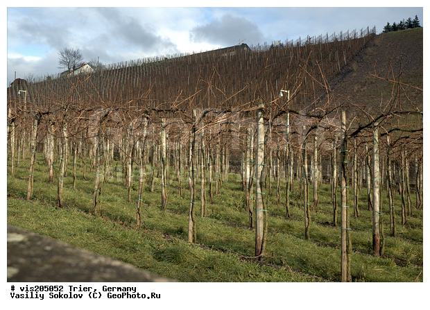 ��������, ����, ���, �����