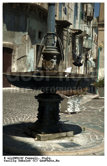 ������, ������, �����