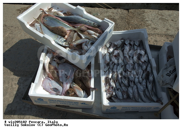 ������, �������, �����