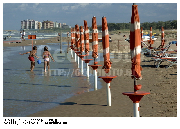 ������, �������, �����