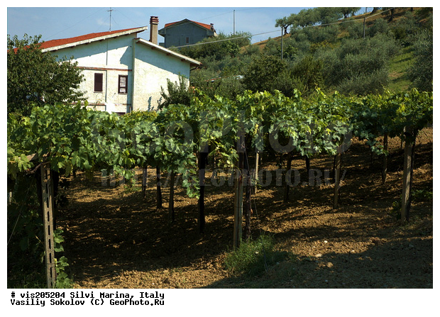 ������, ������ ������, �����