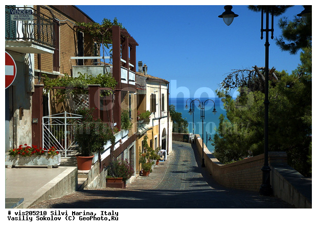 ������, ������ ������, �����